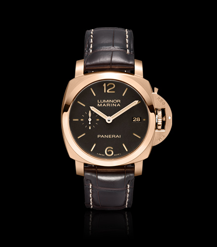 pam00393