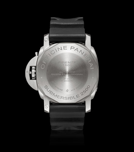 pam364back