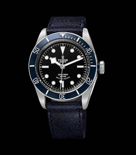 tudor34