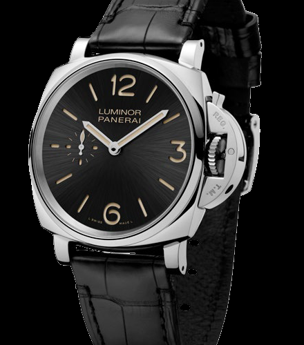 paneraipam00676