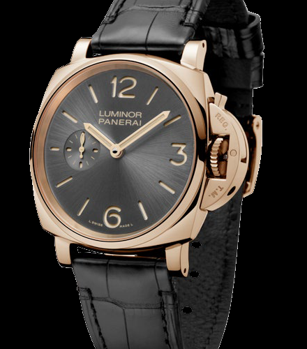 paneraipam00677