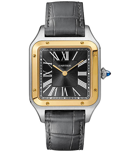 w2sa0015-cartier-santos-dumont-limited-edition-no-14-bis