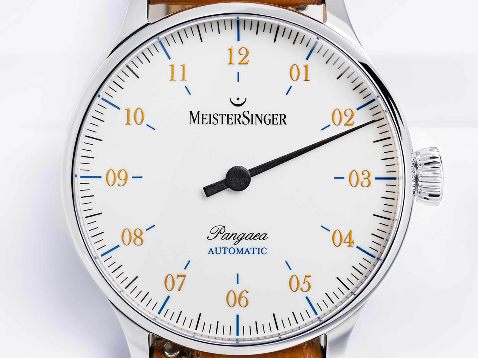 meister-singer-pangaea-4.jpg