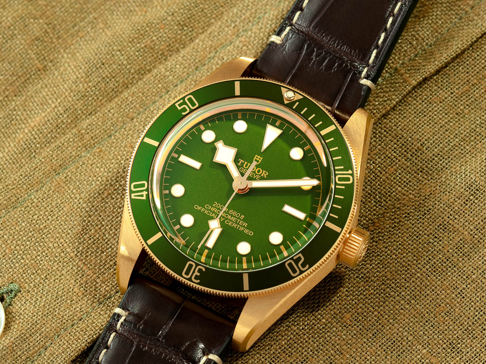 green-watches-tudor-1.jpg