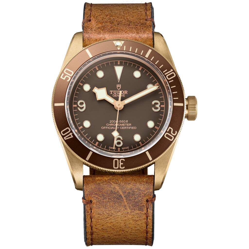 gphg2016_tudor_m79250bm-0001_brown_leather_brown_f_xl_rvb_02.jpg