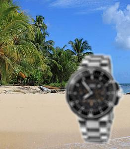 If You Were Stranded on a Deserted Island What Three Watches Would You Take?