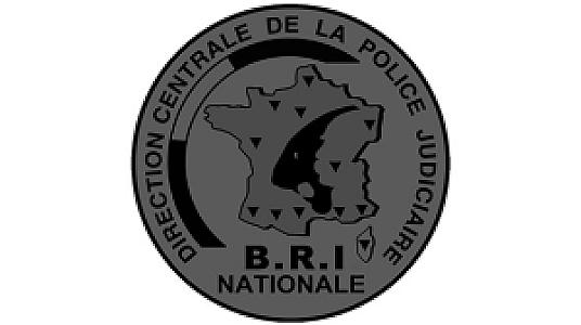 Techné "BRI" Tactical