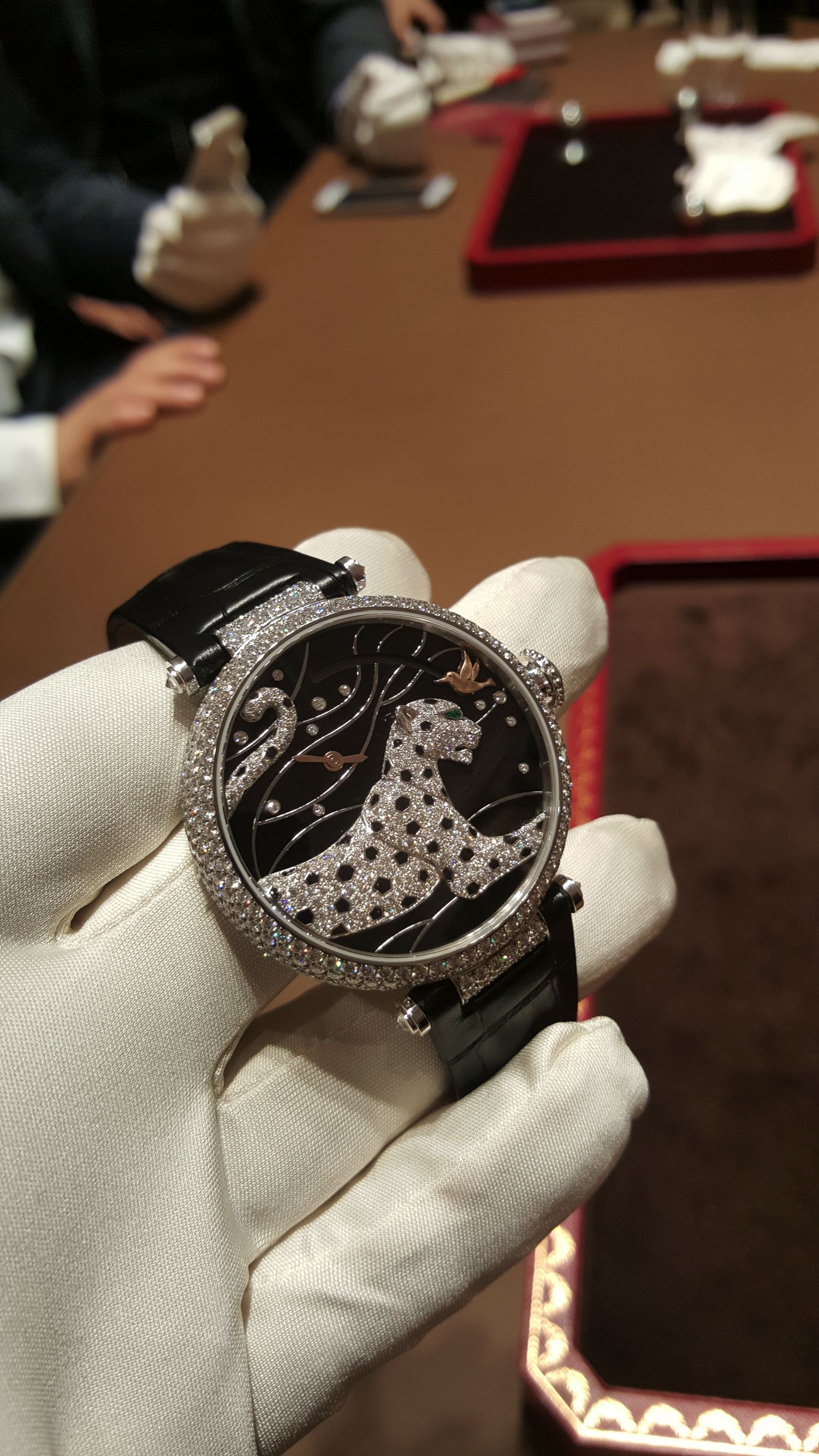 Cartier-Sihh-2016-14.jpg