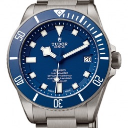 Tudor-Pelagos.jpg