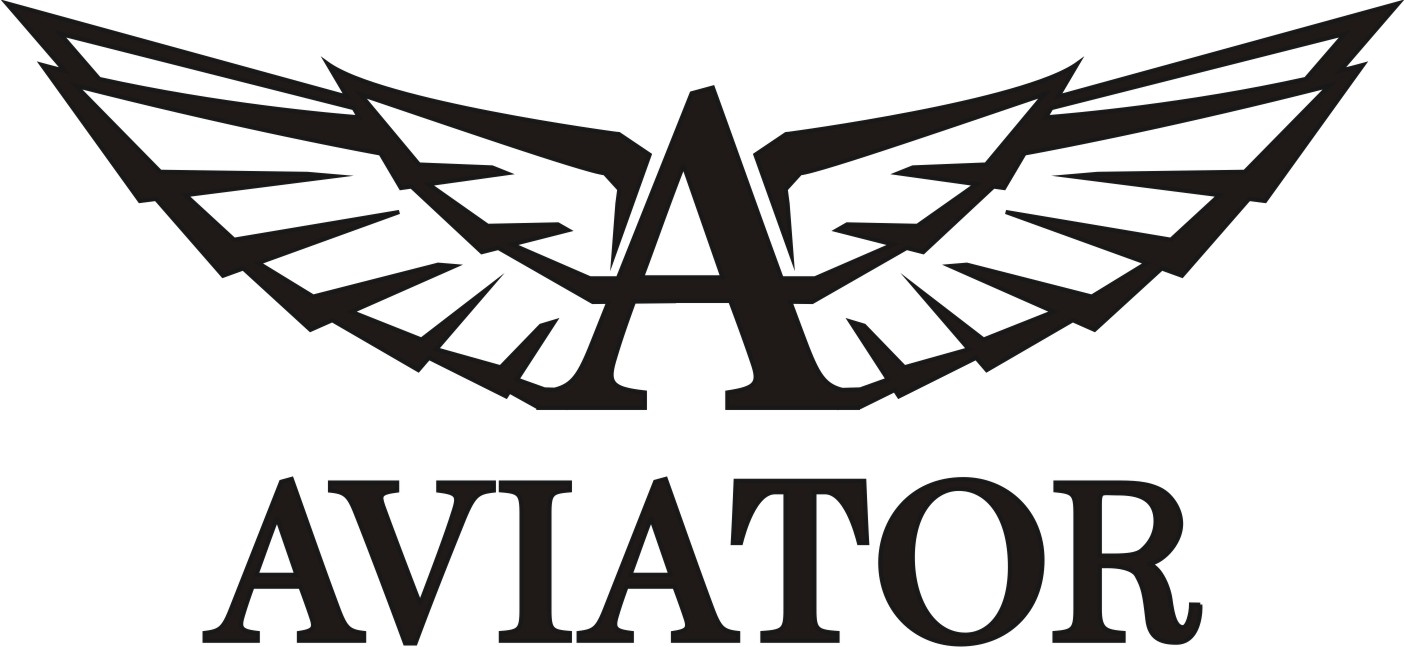 0000000000_AV-ATOR-2013.jpg