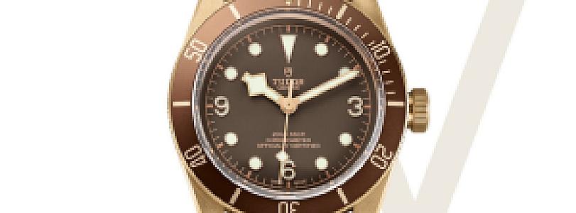 The case of the Tudor Heritage Black Bay Bronze 79250BM